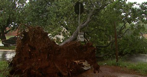 G Rvore Cai Durante Temporal E Atinge Carro Em Ribeir O Preto Sp