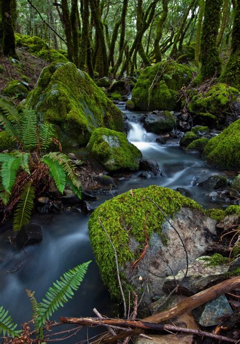 Nature Waterfall Forest Photography Wild River River Stream