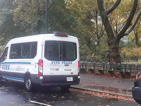 Niño De 11 Años Arrestado Alarma Por 222 Más Robos En Central Park De Nueva York El Diario Ny