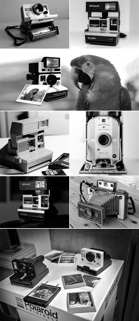 Markenlexikon | Polaroid