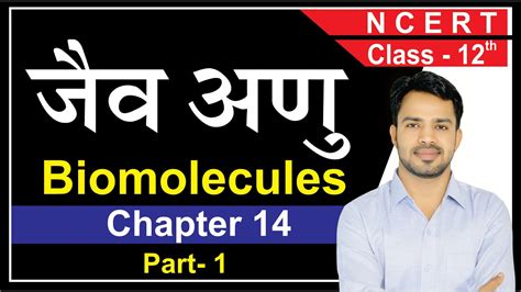 Biomolecules Class 12 Chemistry Biomolecules Ncert Carbohydrates Biomolecules Adaniya Asind