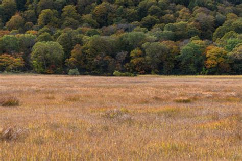 Oze Nationalpark Fotos - Bilder und Stockfotos - iStock