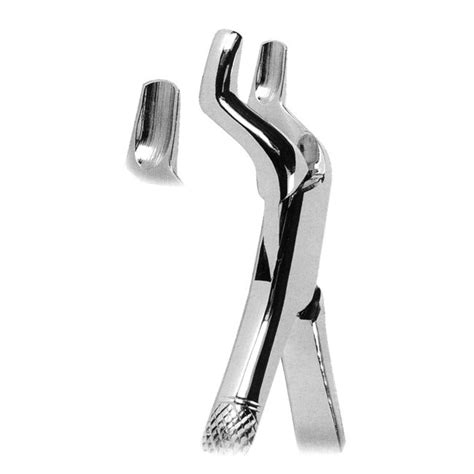 Extracting Forceps American Pattern Yan Surgical Industries