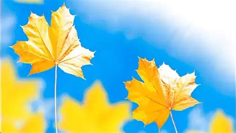 Desi Couple Fucking In Bathroom In Amazing Indian Style Full Desi With Hindi Sex Stories