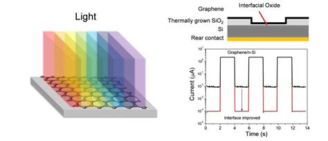 Highly Detective Photodetector Based On Graphene Silicon Heterojunction Advanced Science News