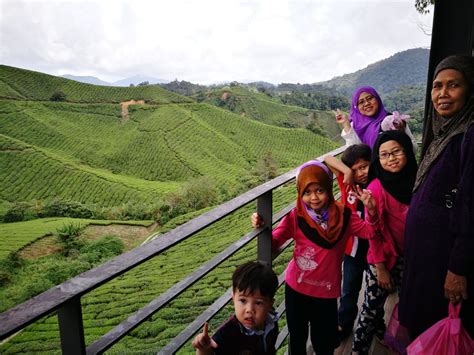 Panduan Untuk Kediaman Idaman Kedamaian Di Ladang Teh Boh Sg Palas