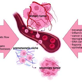 The key processes involved in tumor progression and metastasis. A deep ...