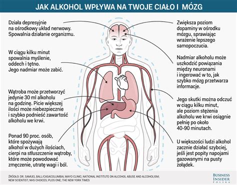 Jak Dzia A Alkohol Na Organizm