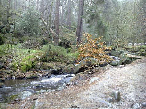 Difference Between Brook And Creek Compare The Difference Between