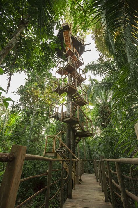 Treehouse Lodge Iquitos Tree Top Canopy Bungalows With Peruvian