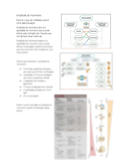 SOLUTION Resumo Articula Es Anatomia Studypool