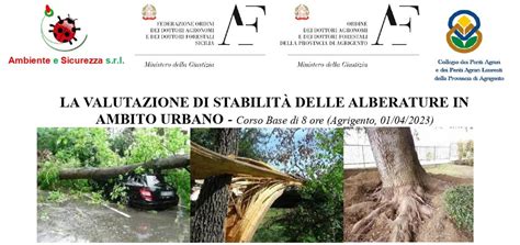 Corso Di Formazione Sulla Valutazione Di Stabilit Delle Alberature In