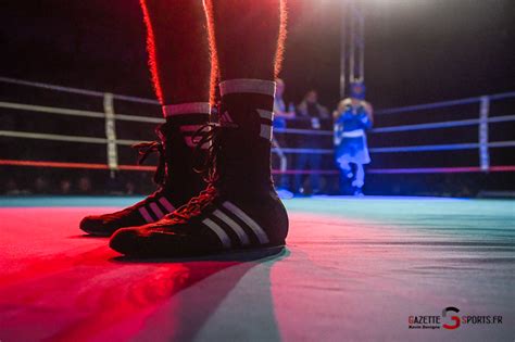 Boxe Fight Night Au Coliseum Le Novembre Gazettesports