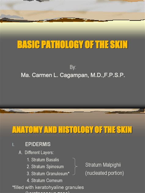 Basic Pathology Of The Skin Pdf Cutaneous Conditions Skin