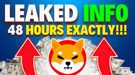 SHIBA INU CEO REVEALED SECRET PRICE PUMP IN 48 HOURS EXACTLY