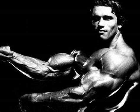 100 Arnold Schwarzenegger Wallpapers