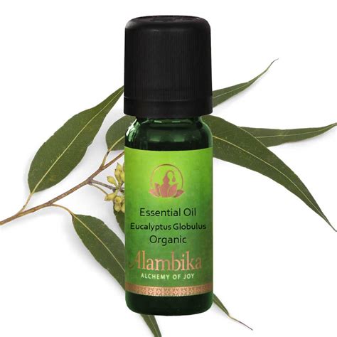 Eucalyptus Globulus Essential Oil Org Alambika Usa Organic Essential