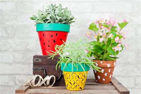 Brighten Up Your Home Garden With These DIY Flower Pots HSN Blogs