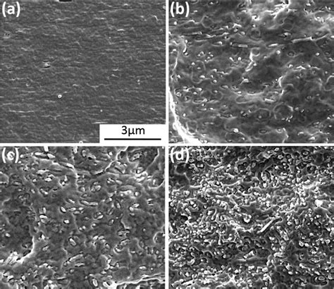 Sem Images Of Cryo Fractured Surfaces Of Pbs And Pbs Pla Composite