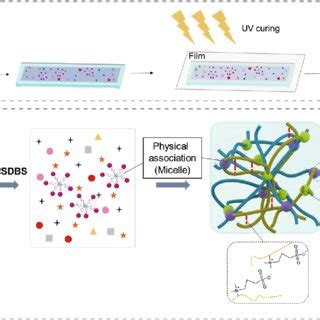 A Hydrogel Fabrication Process B Schematic Of The Preparation Process