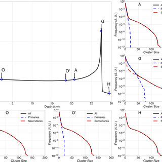 Central axis depth dose curve of a 400 MeV u¹ carbon ion beam along