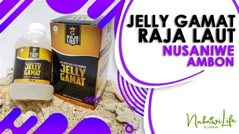 JUAL JELLY GAMAT RAJA LAUT DI NUSANIWE AMBON YouTube