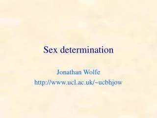 PPT Chapter 4 Sex Determination And Sex Linked Characteristics