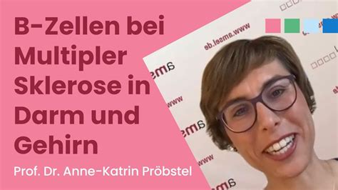 B Zellen Bei Multipler Sklerose In Darm Und Gehirn Prof Dr Anne