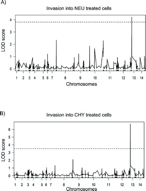 Genome Wide Scan To Detect Quantitative Trait Loci QTL Associated