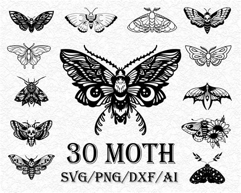 Moth Svg Moths Clipart Moth Png Moth Svg Bundle Moth Line