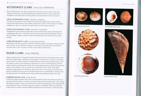 A Handbook To Australian Seashells On Seashores East To West And North To South Nokomis