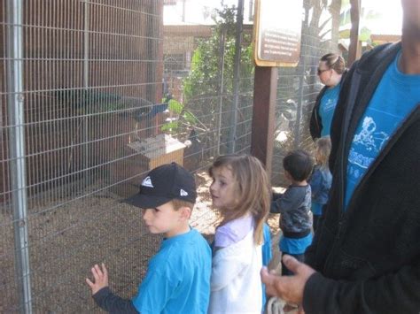 Preschool Field Trip To Farm Long Beach 5 Edgewater Preschool