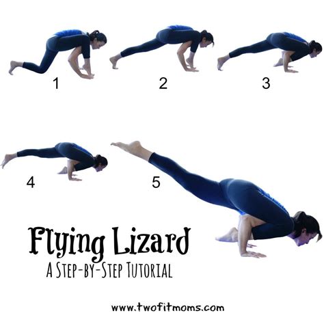 Neu Lizard Lunge Pose Yoga X Poses