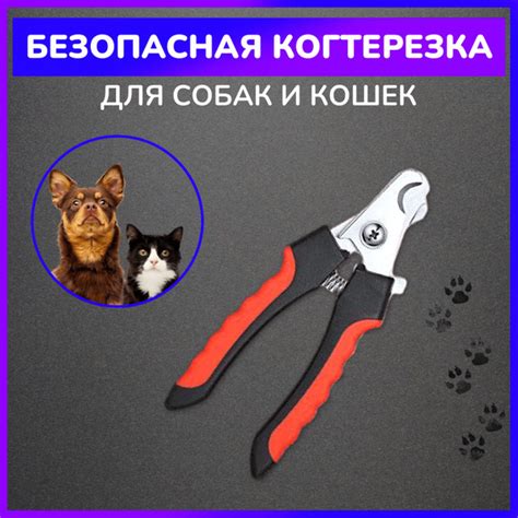 Когтерез для собак и кошек, кусачки-секатор для когтей, уход за ...