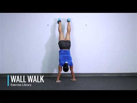 Wall Walk OPEX Exercise Library YouTube