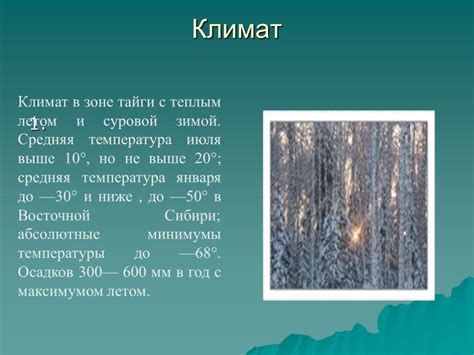 Презентация "Тайга" (7 класс) по географии – скачать проект