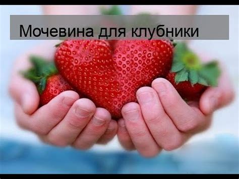 Мочевина для клубники - YouTube