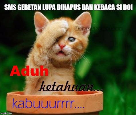 13 Meme 'Kucing' Ini Lucu Banget Bikin Gemes Campur Ngakak