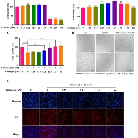 Galangin Reduced Ohda Induced Intracellular Ros Generation And