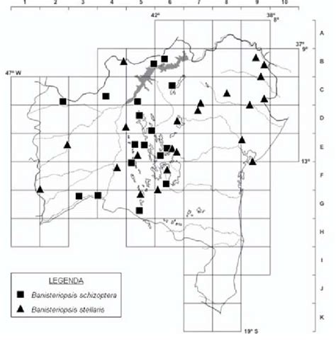 Mapa de distribuiÁ o geogrfica de Banisteriopsis schizoptera e B