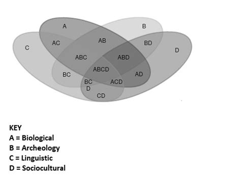 New Approaches To Four Field Anthropology Anthropology News