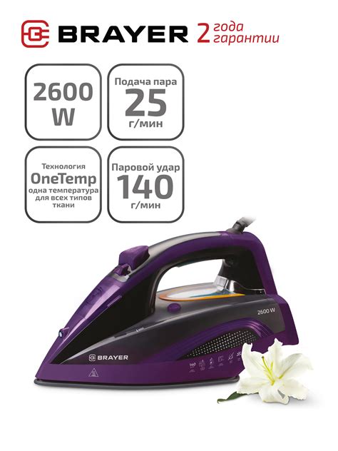 Паровой утюг BRAYER BR4001, 2600 Вт за 4851 ₽ купить c бесплатной ...