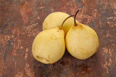 Dwarf Ya Li Pear Plantnet Australia