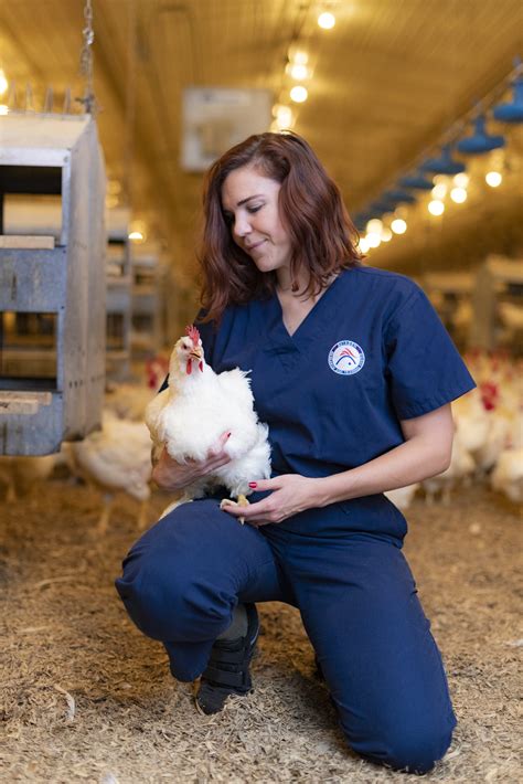 Bird Welfare Makes Good Business Sense By Sara Reichelt Director Of