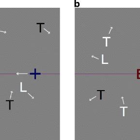 A sample screenshot of a sustained inattentional blindness display from ...