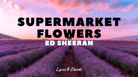 Supermarket Flowers Ed Sheeran Lyrics And Chords Youtube