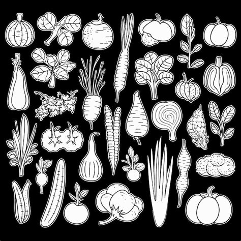 Conjunto De Iconos De Verduras De Vector Libre Vector Premium