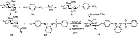 Molecules Free Full Text Synthesis Of Glycosides Of Glucuronic Galacturonic And Mannuronic