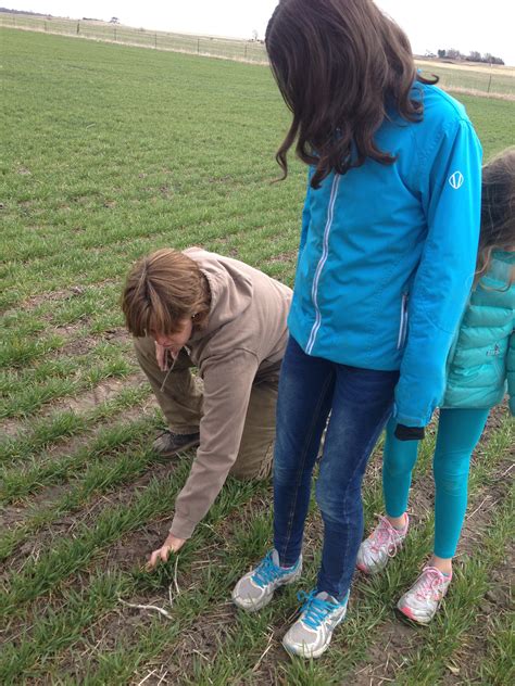 Farm Science « The Kitchen Pantry Scientist