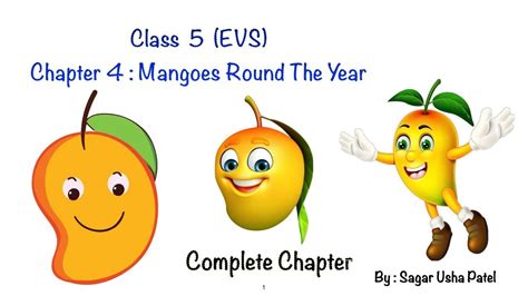 Cbse Ncert Class 5 Evs Mangoes Round The Year Complete Chapter Youtube